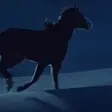 Kon, Horse
