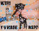 WTF Y U Wash Me?!?