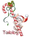 Tabby