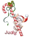 Judy