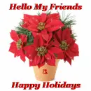 hello my friends