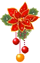 x-mas flower