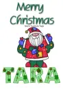 Merry Christmas Santa Claus Tara