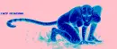 woman cat