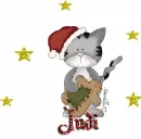 Judi