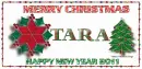 Tara Christmas and New Year