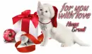 for you with love Trudi