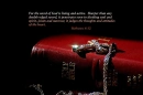the bible is true