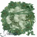 Johann