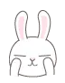 funny rabbit