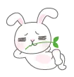 funny rabbit