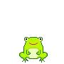 cute frog