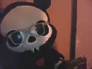 my skelanimal and glasses