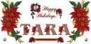 Happy Holidays Poinsettias Tara