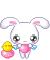 cute bunny