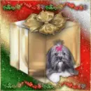 Doggy