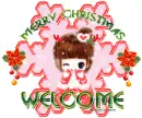 Welcome Christmas
