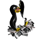 penguin eating sardines