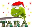 chameleon santa Tara