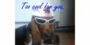too cool for you