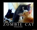 zombie cat