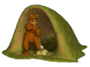 bear sweeping cave