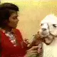 Michael Jackson, King, Love