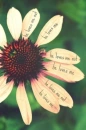 flower love me love me not