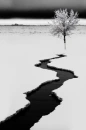 river snow