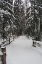 snow road