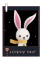 bunny
