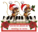 â˜†xMaSâ˜†miceâ˜†