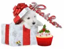christmas present box cute dog sweets Heather