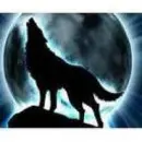Wolves