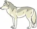 Wolves 