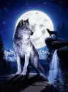 Wolves