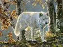 Wolves