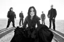 We are the fallen