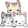 Three kitties