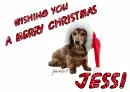 Christmas Dog - Jessi