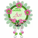 Ari