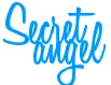 secret angel