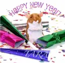 Hamster Happy New Year Tara