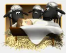 manger