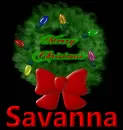 savanna