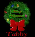 Tabby 