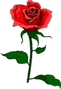 flower power
