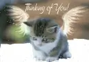 Tinking of you angel cat
