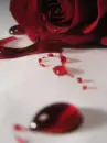 bleeding love
