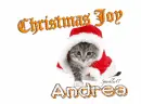 Andrea